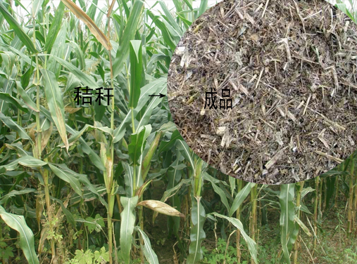 秸稈粉碎